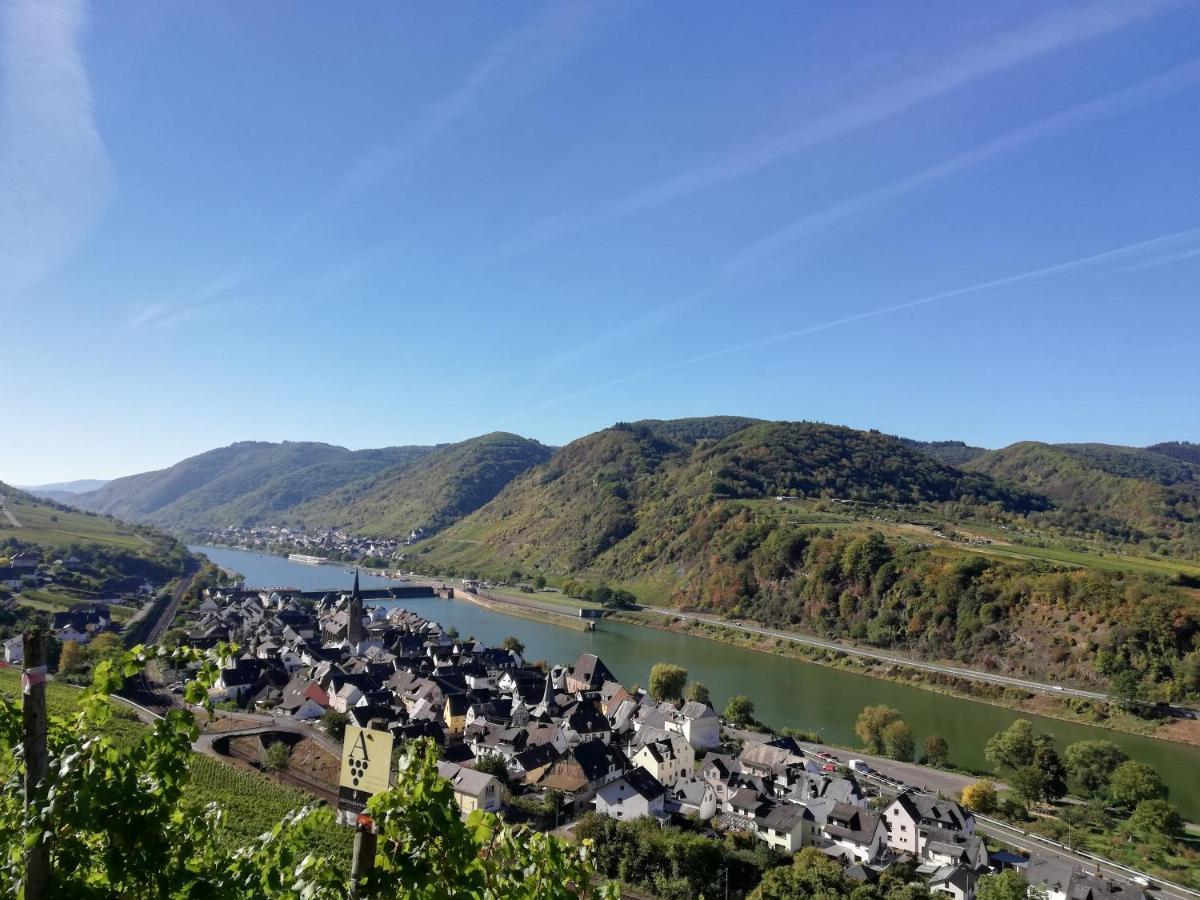 Weingut Amlinger&sohn Apartment *