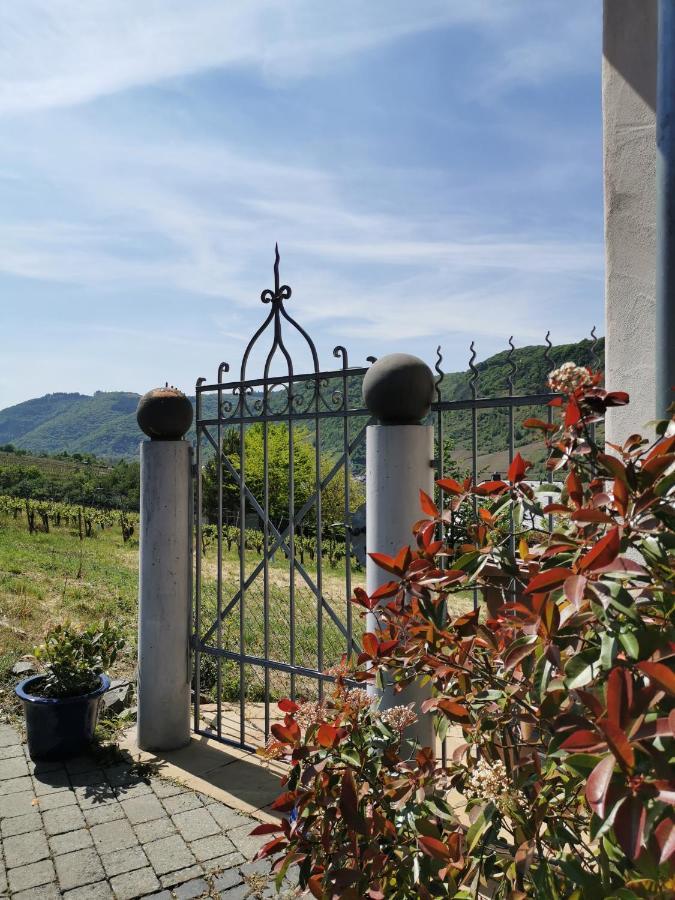 Weingut Amlinger&sohn Apartment *